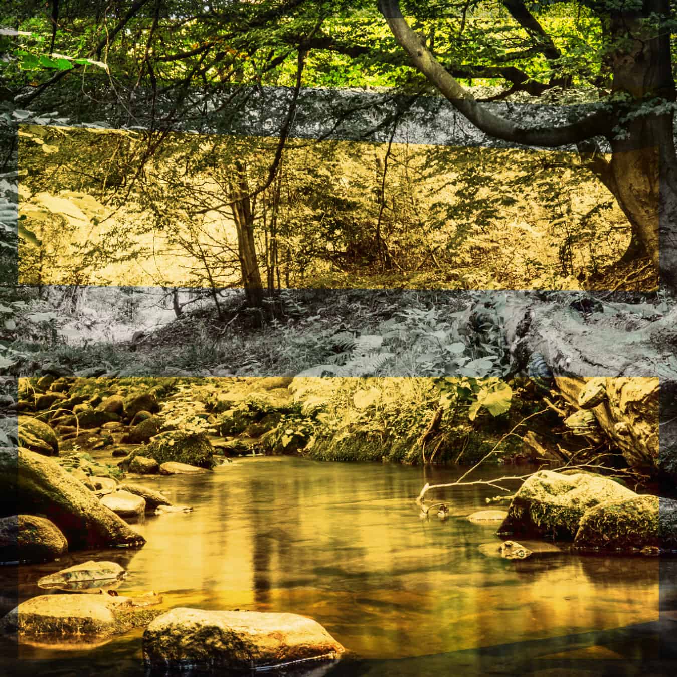 Поток тече преко стена у шуми. Слика је подељена на хоризонталне делове са жутим и зеленим филтерима у боји, стварајући слојевити, стилизовани ефекат преко дрвећа, лишћа и воде.